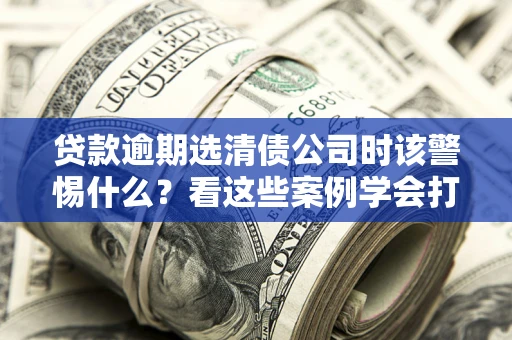 济南贷款逾期选清债公司时该警惕什么？看这些案例学会打翻身仗