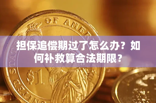 济南担保追偿期过了怎么办？如何补救算合法期限？