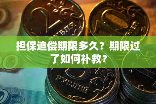 济南担保追偿期限多久？期限过了如何补救？