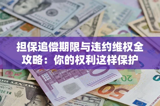 济南担保追偿期限与违约维权全攻略：你的权利这样保护