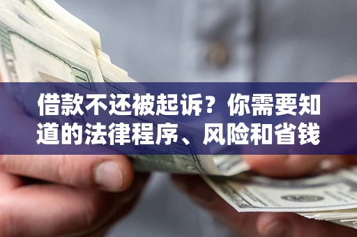 济南借款不还被起诉？你需要知道的法律程序、风险和省钱技巧
